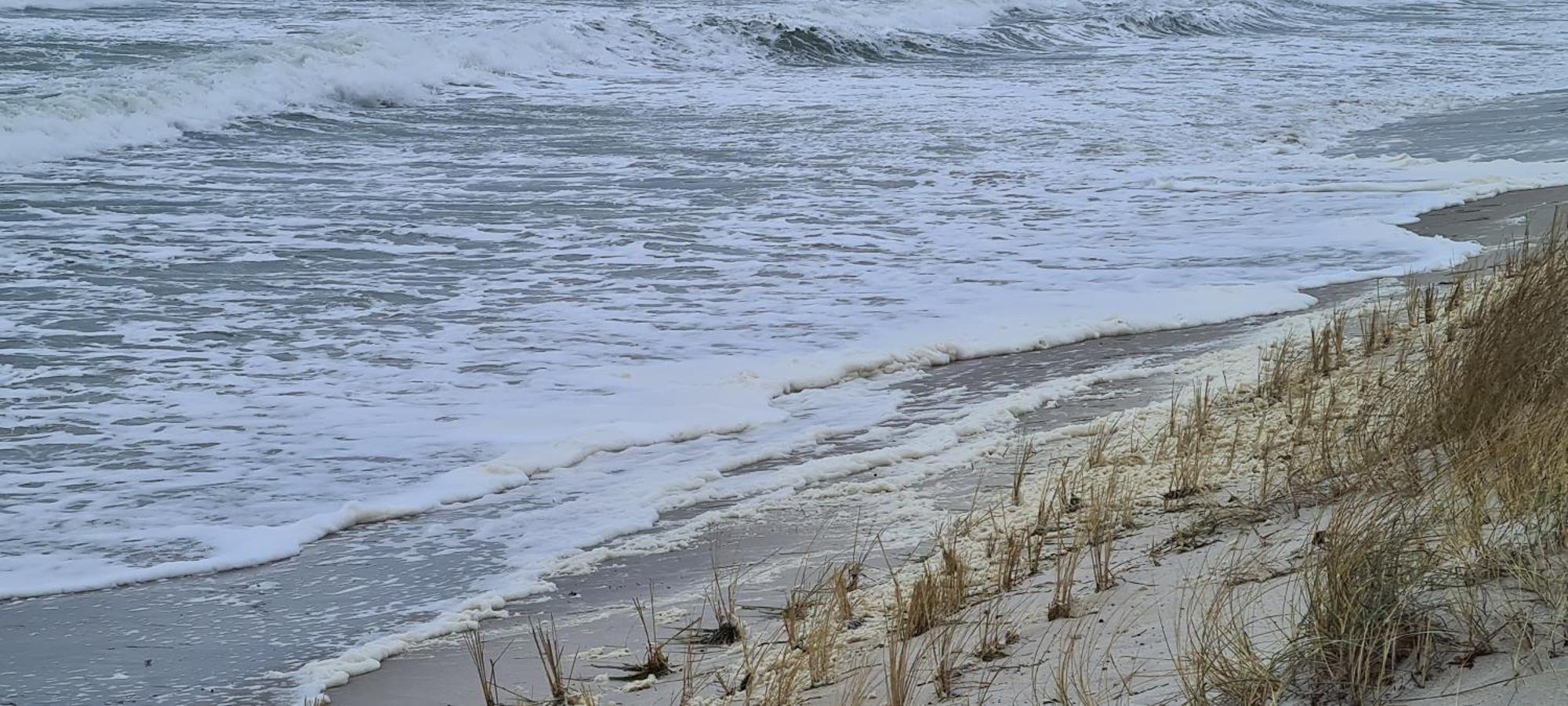 Haus Nadine Apartman Zingst Kültér fotó